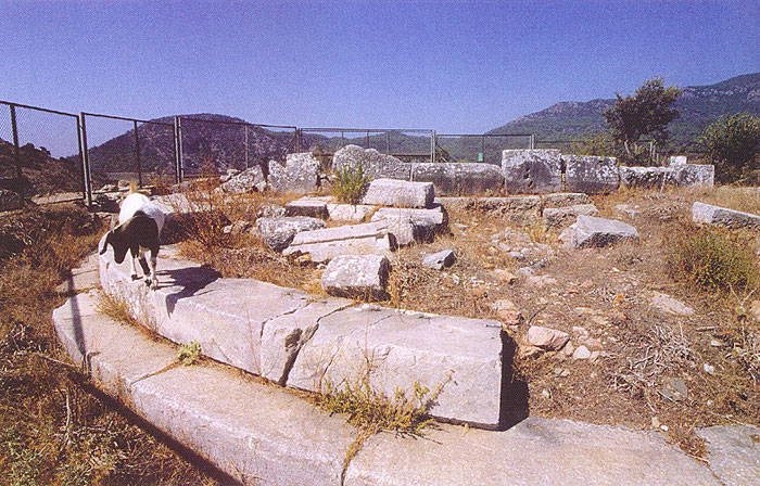 measuring platform in Caunus