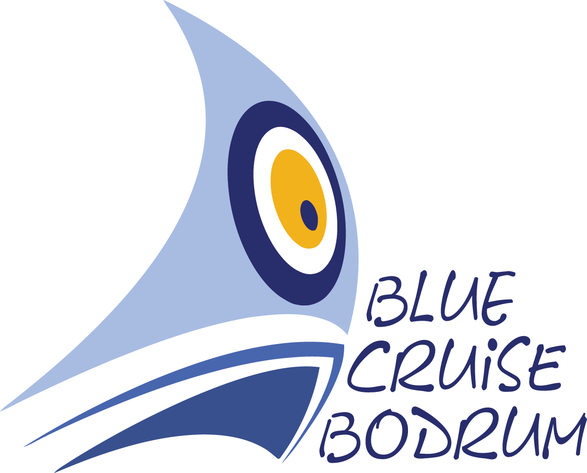 (c) Bluecruise.org