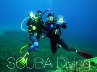 SCUBA diving Blue Cruise
