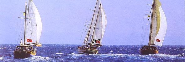 The AYAZ Gulet sailing the Bodrum Cup