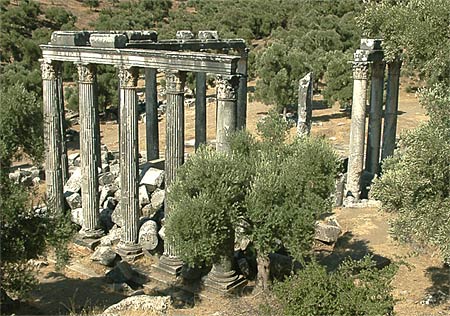 Euromos temple